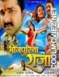 Bhojpuriya Raja (2016) Bhojpuri Full Movie